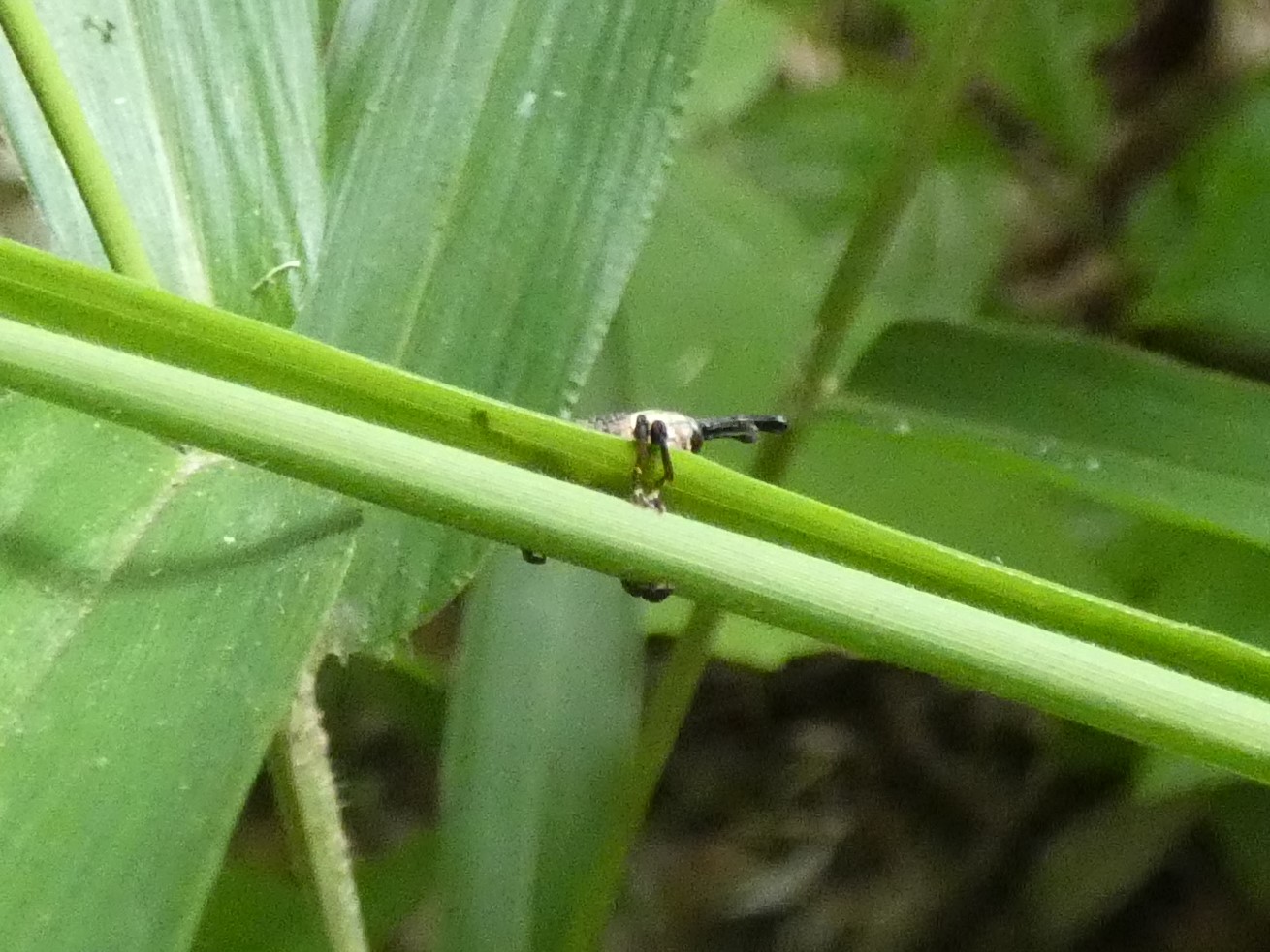 photo_1